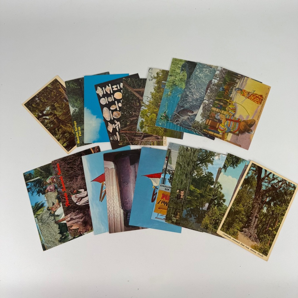 Vintage Florida Postcard Lot of 20 Cypress Gardens Ripley's Seminole Souvenir